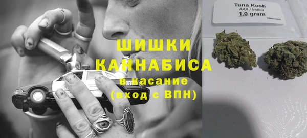 сатива Каменск-Шахтинский