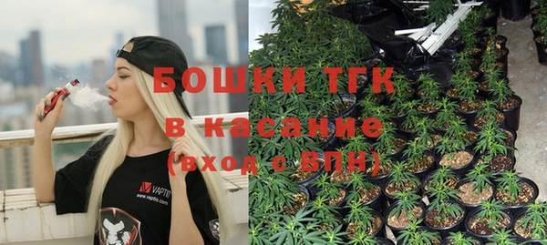 спайс Карпинск
