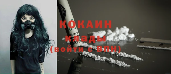 сатива Каменск-Шахтинский