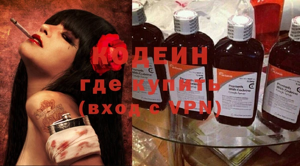 шишки Каменка