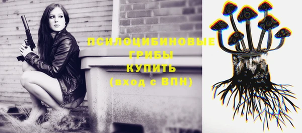 ALPHA PVP Касимов
